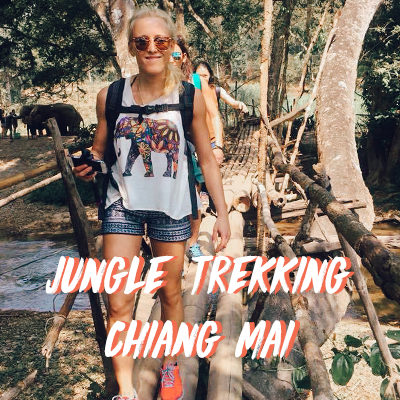 Trekking through the jungles of Chiang Mai, visiting a waterfall, riding elephants and go down a river on a bamboo raft