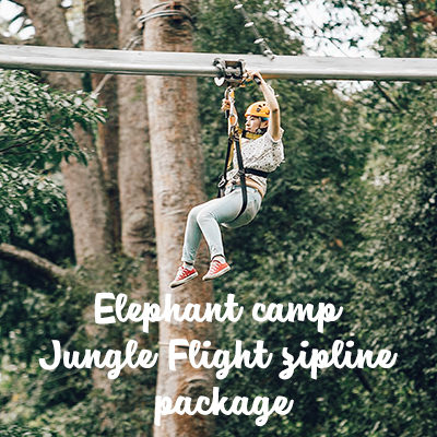 Elephant camp Jungle Flight zipline package