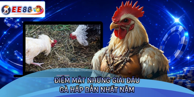 Điểm mặt những giải đấu gà hấp dẫn nhất năm