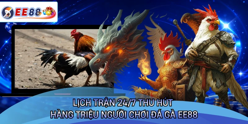 Lịch trận 24/7 thu hút hàng triệu người chơi đá gà EE88