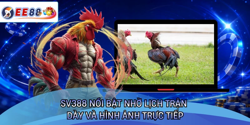 SV388 nổi bật nhờ lịch trận dày và hình ảnh trực tiếp