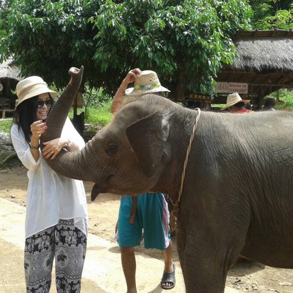 Elephant Safari and Bamboo Rafting One Day Tour