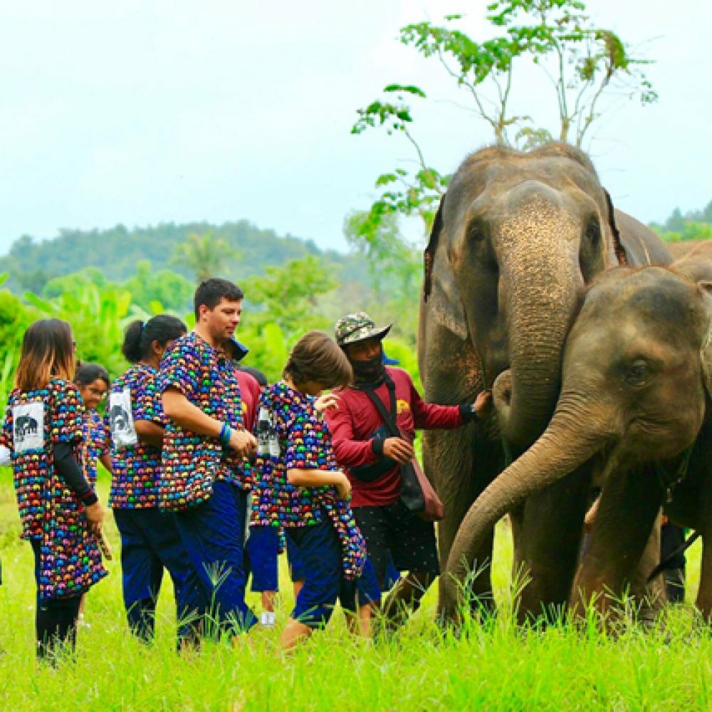Kanta Elephant Sanctuary (Half Day) (2)