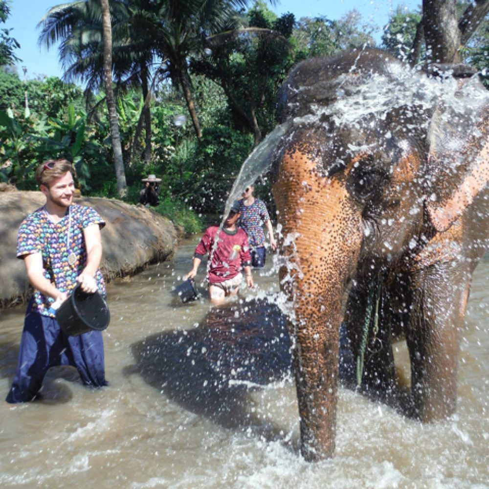 Kanta Elephant Sanctuary (Half Day) (5)