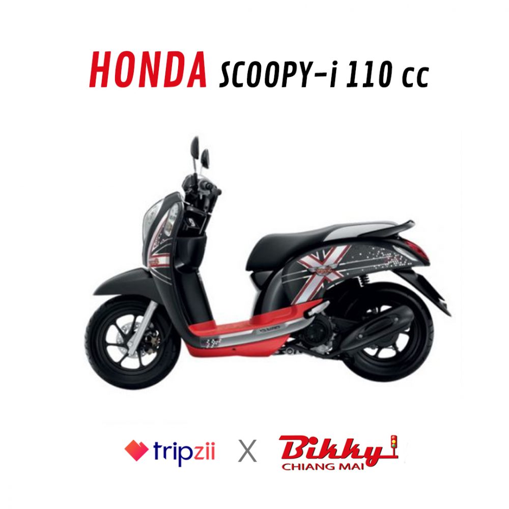 SCOOPY-I3