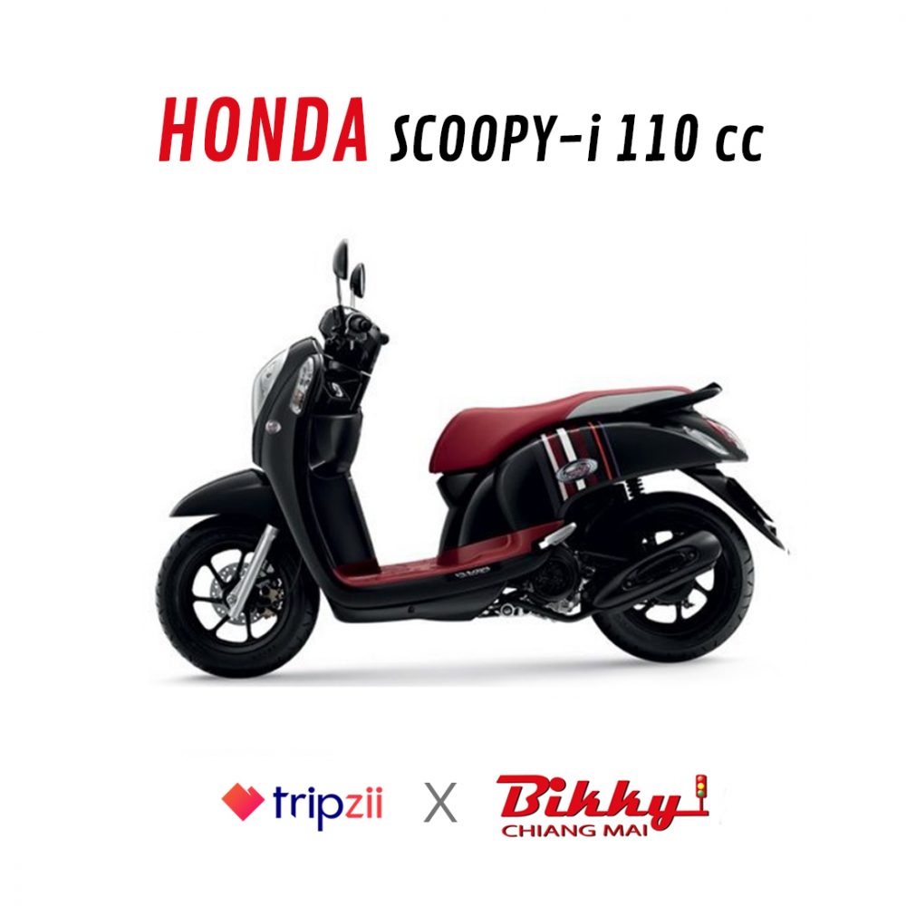 SCOOPY-I4