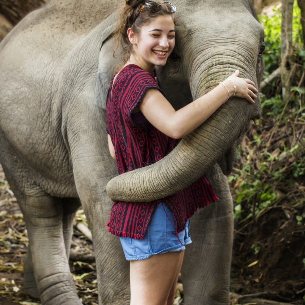 CHIANG MAI, THAILAND - APRIL 25, 2015 : People can experience the lifestyle of elephants in their natural habitat
(no hook, no chain, no riding) in Chiang Mai, Thailand.