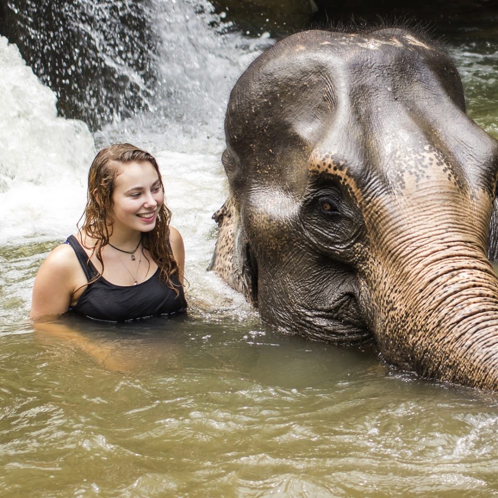 CHIANG MAI, THAILAND - APRIL 25, 2015 : People have opportunity to experience the lifestyle of elephants and bathing with elephant in river. (no hook, no chain, no riding) in Chiang Mai, Thailand.